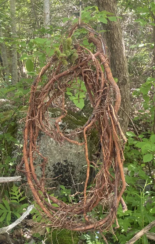 Ancient Tree Root Weaving