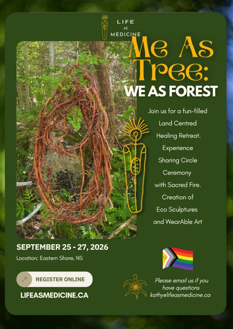 Version 3.1 Website